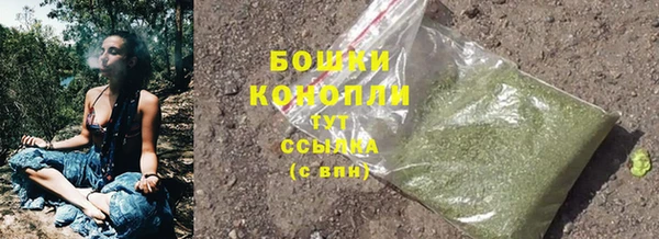 молекула духа Нея