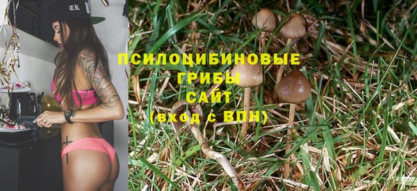 молекула духа Нея