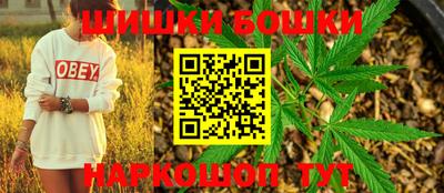 крисы Шелехов