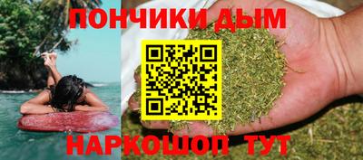 крисы Шелехов