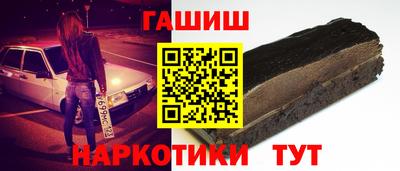 крисы Шелехов