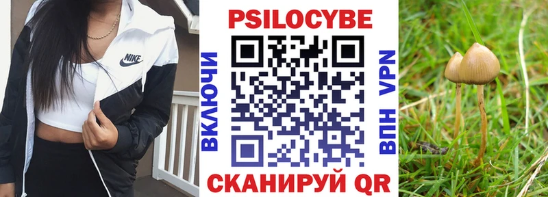 купить наркотик  Владимир  Псилоцибиновые грибы прущие грибы 