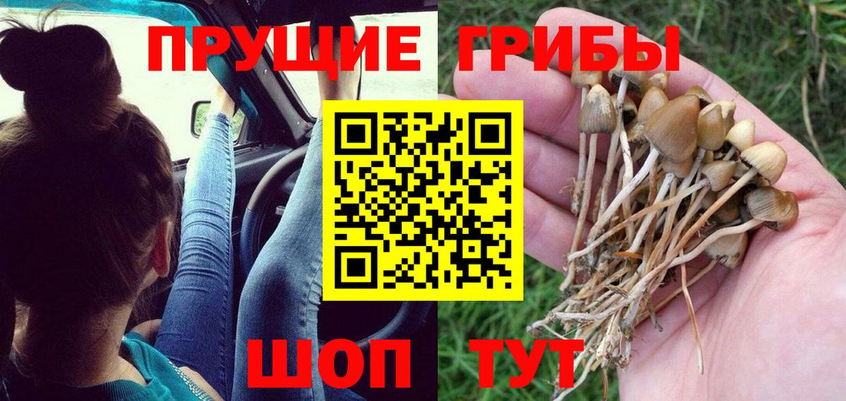 Галлюциногенные грибы ЛСД  Вход с VPN  Владимир 